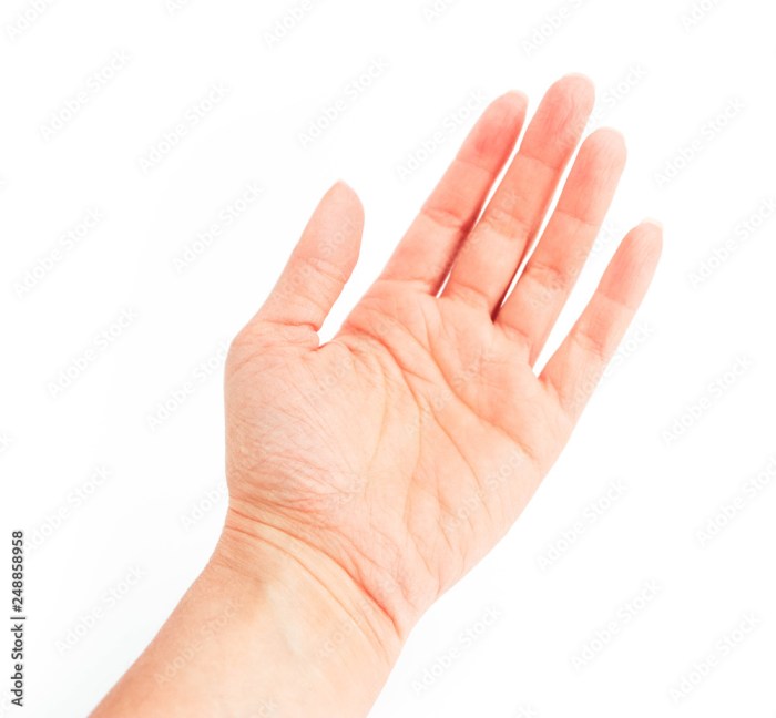 Young woman hand isolated on white background. Giving female hand palm ... Hand that rocks the cradle full movie