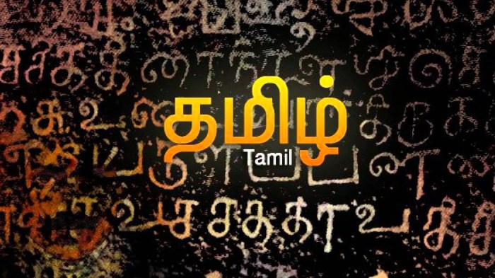 Tamil Letter Wallpapers - Top Free Tamil Letter Backgrounds ... Tamil Letter Wallpapers - Top Free Tamil Letter Backgrounds ...