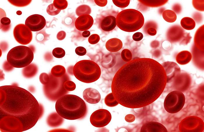 12 Interesting Facts About Blood Blood wars underworld full movie