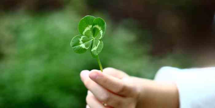 Is luck real, and can you change yours? - The Washington Post