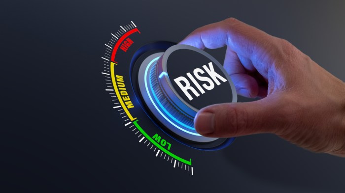 Overview Of Risks And Risk Types