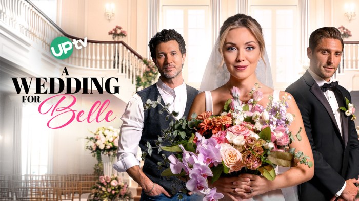 Sugarcreek amish mysteries movie where to watch