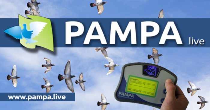 PAMPA live Live not by lies movie