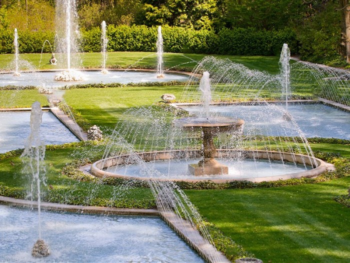 Fountain of youth movie reviews