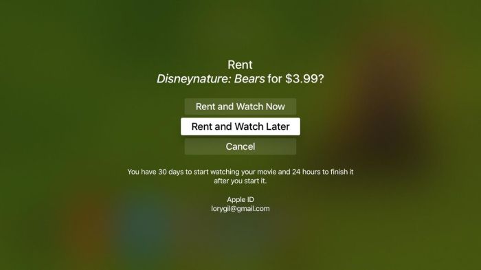 Rent Movies Online - 10 Best Movie Rental Sites - Freemake Rent Movies Online - 10 Best Movie Rental Sites - Freemake