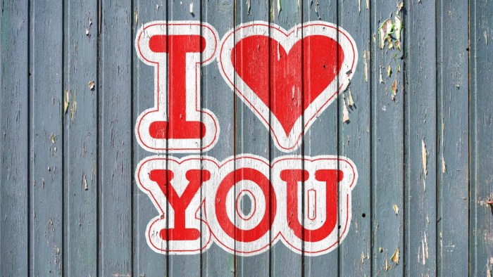 Love on the sidelines movie