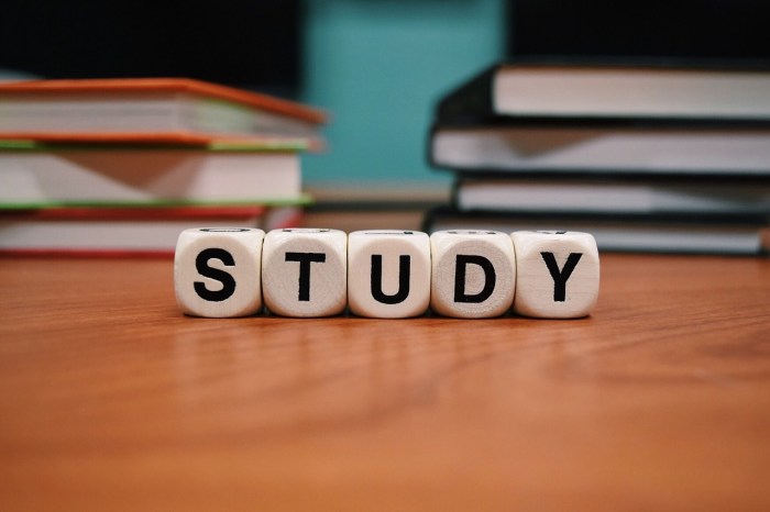 Study Tips for Midterms Exams | International Student News How to study a movie