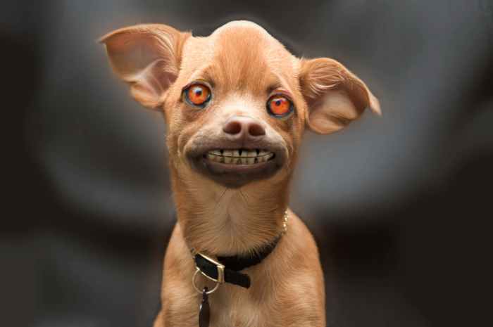 Picture Of Ugly Woman Background Images, HD Pictures and Wallpaper For ... The ugly stepsister full movie online free