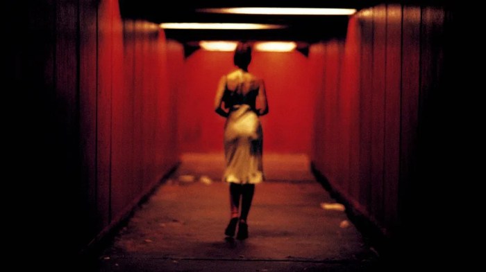 Irreversible 2002 movie online free